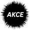 Akce