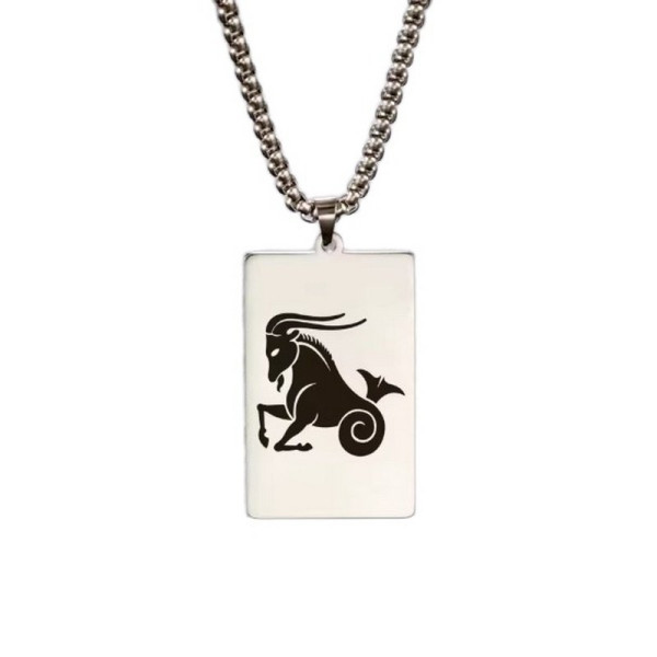 Ocelový náhrdelník znamení ZVĚROKRUHU DESTIČKA (11)