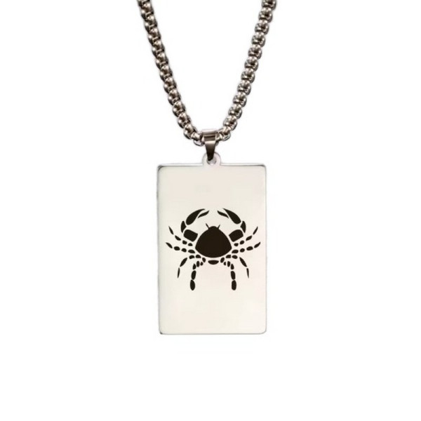 Ocelový náhrdelník znamení ZVĚROKRUHU DESTIČKA (17)