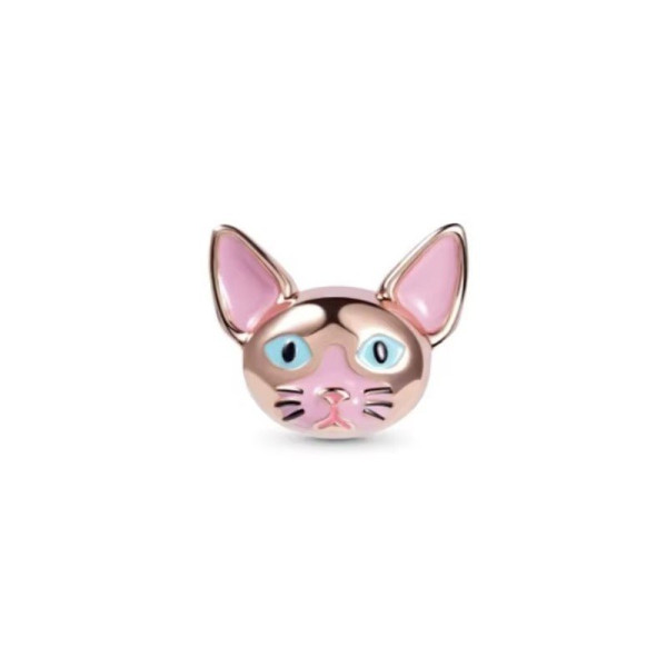 Stříbrný přívěsek (1)