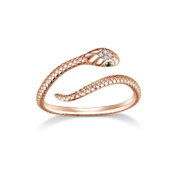 Stříbrný prsten (1)