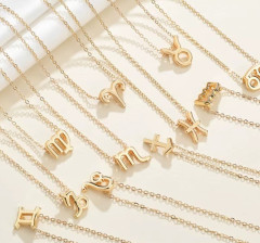 Ocelový náhrdelník ZNAMENÍ ZVĚROKRUHU (4)