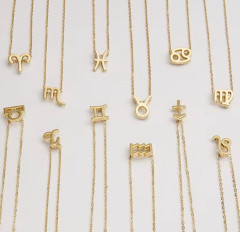 Ocelový náhrdelník ZNAMENÍ ZVĚROKRUHU (5)