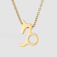 Ocelový náhrdelník ZNAMENÍ ZVĚROKRUHU (10)