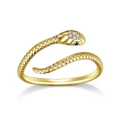 Stříbrný prsten HAD gold